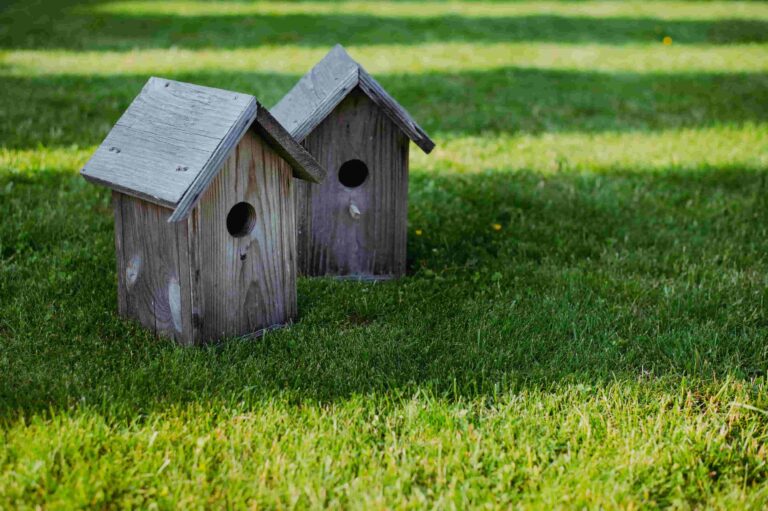 Two birdhouses next to each other as an example of how to meet the neighbors.